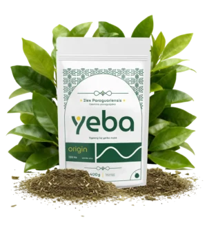 yeba <span style="color:#0E312A;">origin</span>