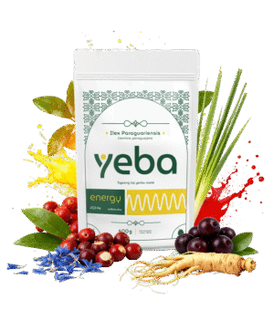 yeba <span style="color:#eec315;">energy</span>