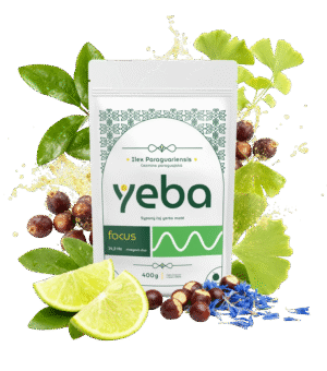 yeba <span style="color:#53B84E;">focus </span>