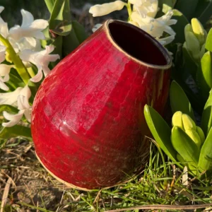 Detail červenej keramickej kalabasy Velvet v záhrade medzi bielymi kvetmi hyacintov.